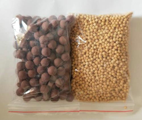 小分子球